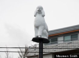 Main Street Poodle (Maureen Smith/City of Vancouver)